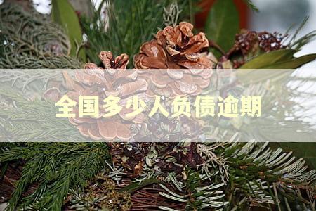 全国多少人负债逾期