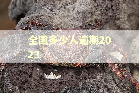 全国多少人逾期2023