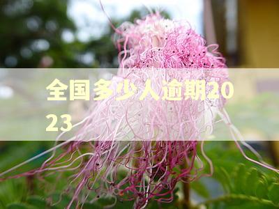 全国多少人逾期2023 全国多少人逾期2023