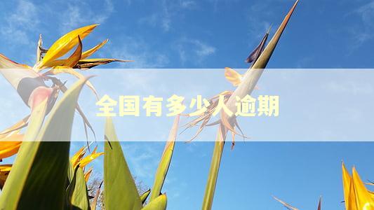 全国有多少人逾期