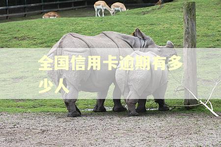 全国信用卡逾期有多少人