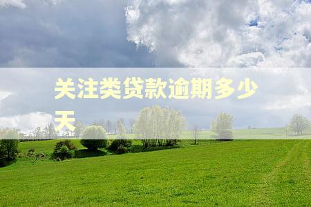 关注类贷款逾期多少天
