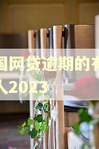 全国网贷逾期的有多少人2023
