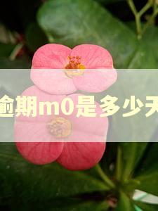 逾期m0是多少天