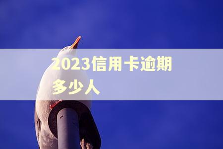 2023信用卡逾期多少人
