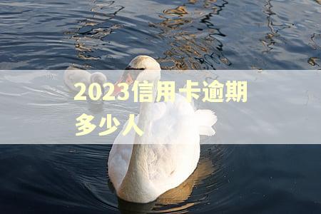 2023信用卡逾期多少人