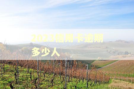 2023信用卡逾期多少人