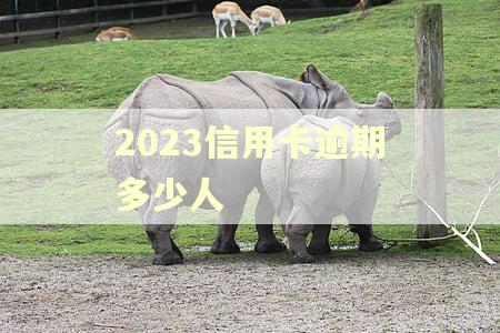 2023信用卡逾期多少人