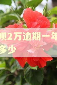借呗2万逾期一年要还多少