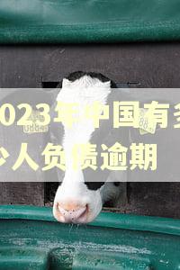 2023年中国有多少人负债逾期