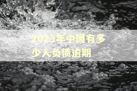 2023年中国有多少人负债逾期