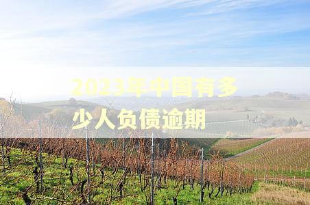 2023年中国有多少人负债逾期