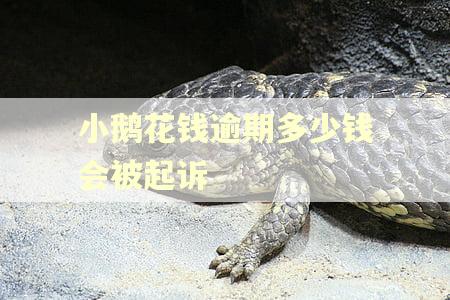 小鹅花钱逾期多少钱会被起诉