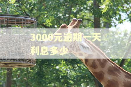 3000元逾期一天利息多少