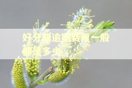 好分期逾期费用一般都是多少