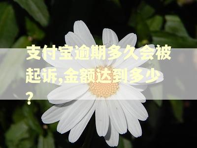 支付宝逾期多久会被起诉,金额达到多少?
