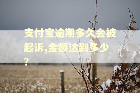支付宝逾期多久会被起诉,金额达到多少?