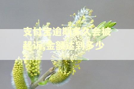 支付宝逾期多久会被起诉,金额达到多少? 支付宝逾期多久会被起诉,金额达到多少?
