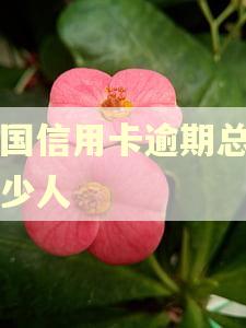 中国信用卡逾期总共多少人