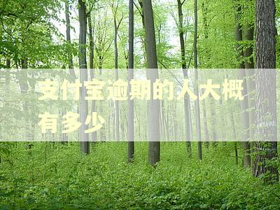 支付宝逾期的人大概有多少