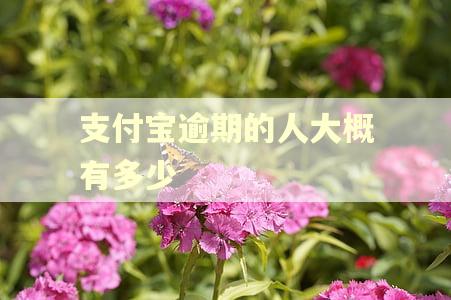 支付宝逾期的人大概有多少