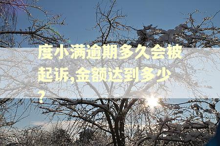 度小满逾期多久会被起诉,金额达到多少?
