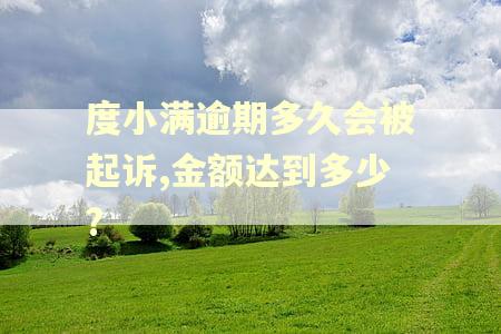 度小满逾期多久会被起诉,金额达到多少?
