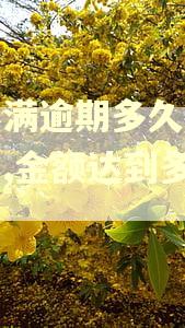 度小满逾期多久会被起诉,金额达到多少? 度小满逾期多久会被起诉,金额达到多少?