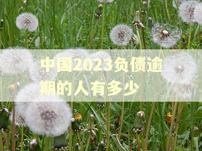 中国2023负债逾期的人有多少
