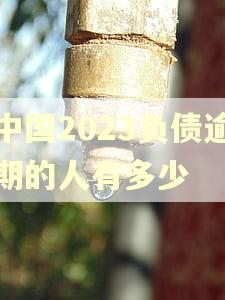 中国2023负债逾期的人有多少