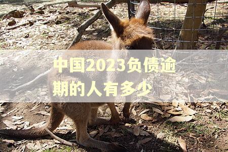 中国2023负债逾期的人有多少