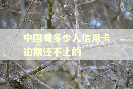 中国有多少人信用卡逾期还不上的