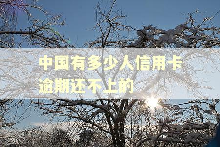 中国有多少人信用卡逾期还不上的