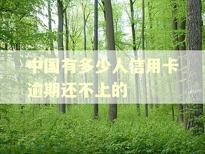 中国有多少人信用卡逾期还不上的