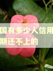 中国有多少人信用卡逾期还不上的