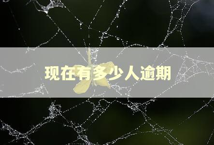 现在有多少人逾期