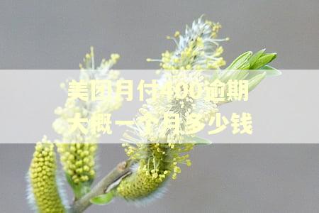 美团月付400逾期大概一个月多少钱 美团月付400逾期大概一个月多少钱