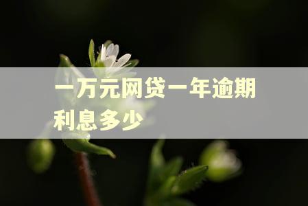 一万元网贷一年逾期利息多少
