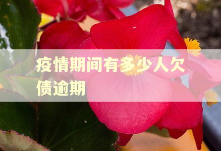 疫情期间有多少人欠债逾期