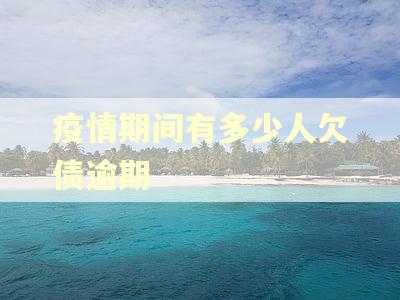 疫情期间有多少人欠债逾期