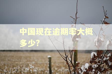 中国现在逾期率大概多少?