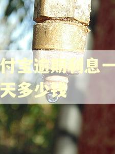 支付宝逾期利息一万一天多少钱