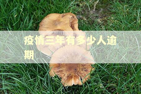疫情三年有多少人逾期