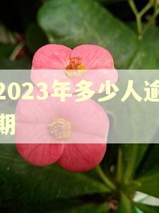 2023年多少人逾期