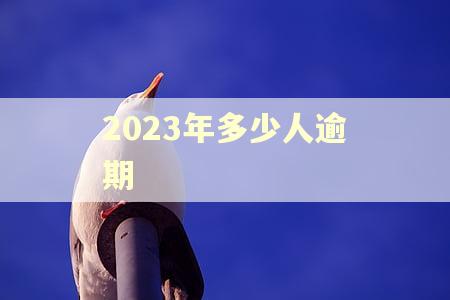 2023年多少人逾期 2023年多少人逾期