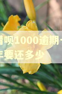 借呗1000逾期一年要还多少