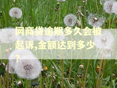 网商贷逾期多久会被起诉,金额达到多少?
