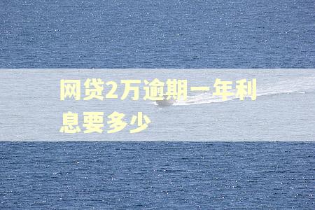 网贷2万逾期一年利息要多少