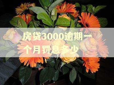 房贷3000逾期一个月罚息多少