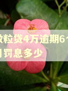 微粒贷4万逾期6个月罚息多少
